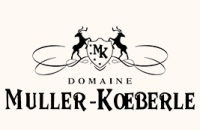 logo (1)
